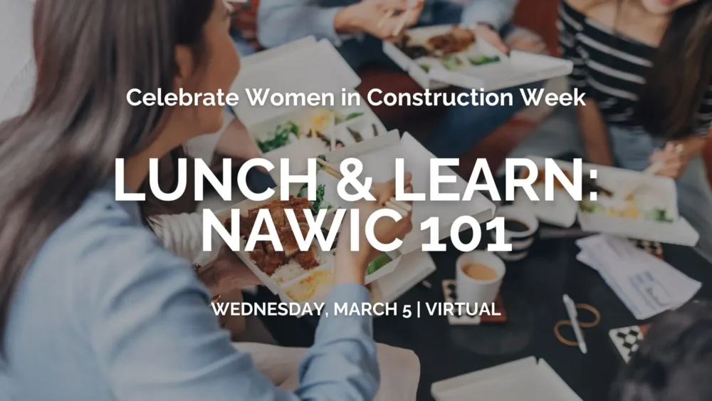 Lunch and learn webinar