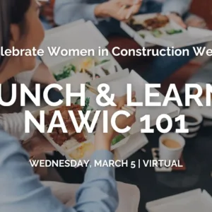 Lunch and learn webinar